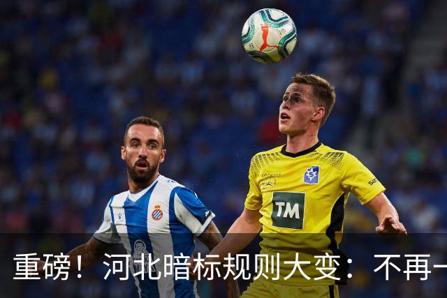重磅！河北暗标规则大变：不再一踩形式坑就直接废标！